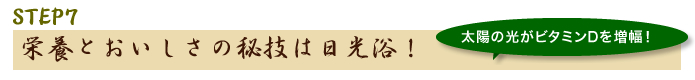 STEP7栄養とおいしさの秘技は日光浴！