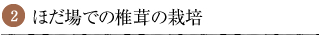 2.ほだ場での椎茸の栽培