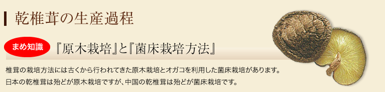 乾椎茸の生産過程　まめ知識『原木栽培』と『菌床栽培方法』　椎茸の栽培方法には古くから行われてきた原木栽培とオガコを利用した菌床栽培があります。 日本の乾椎茸は殆どが原木栽培ですが、中国の乾椎茸は殆どが菌床栽培です。