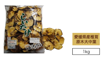 .愛媛県産原木椎茸大中葉