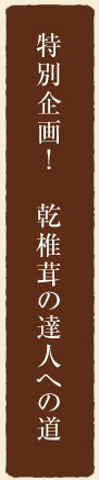 特別企画！乾椎茸の達人への道