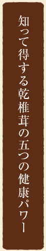 知って得する乾椎茸の五つの健康パワー